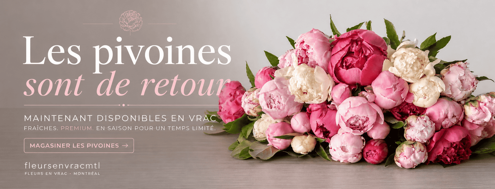 Pivoines en vrac à Montréal – fleurs fraîches roses et blanches disponibles en gros