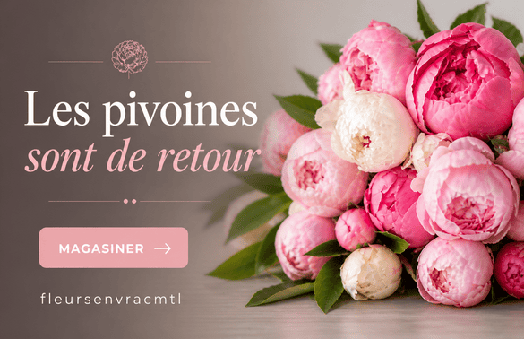 Bouquet de pivoines fraîches en vrac à Montréal – fleurs saisonnières pour mariages