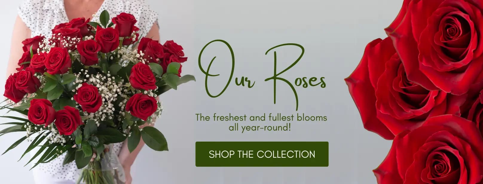 ROSES BANNER - DESKTOP ENG