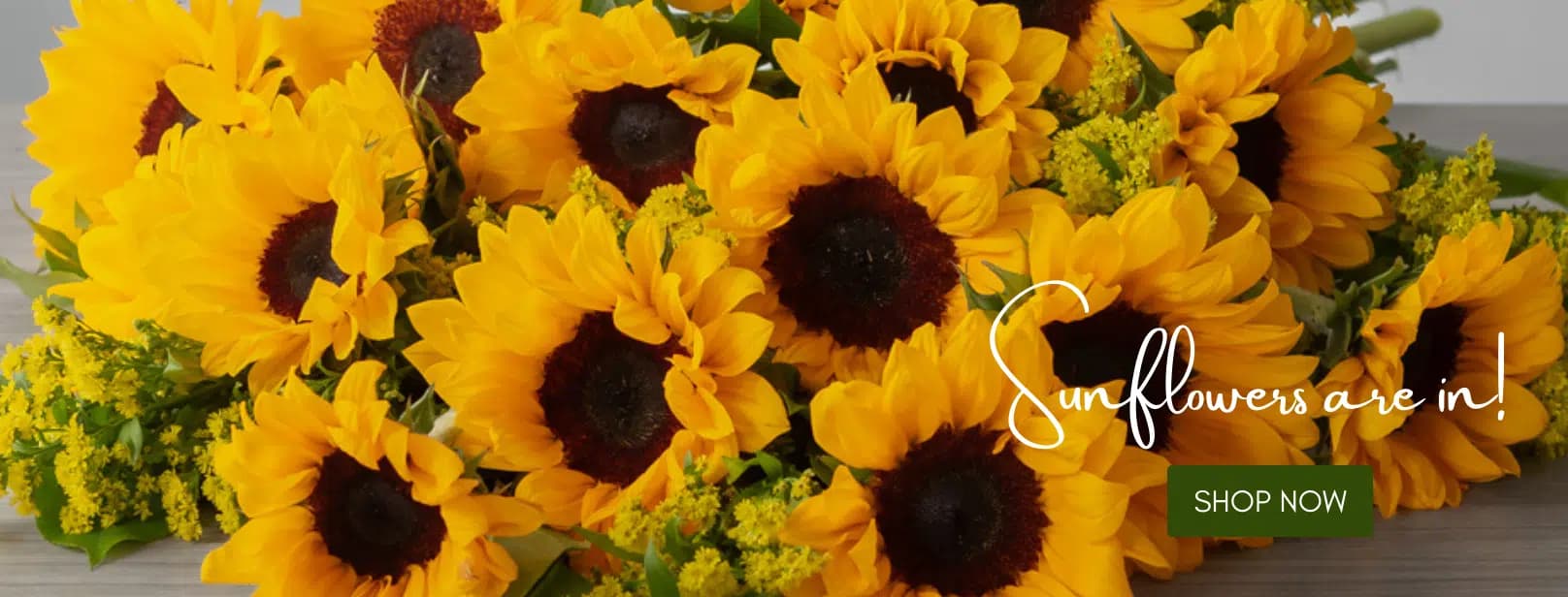 SUNFLOWER_BANNER_DESKTOP_ENG