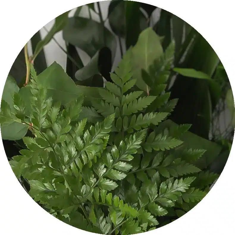 Greens