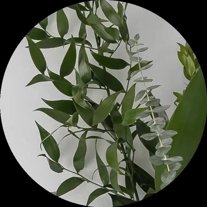 Greens