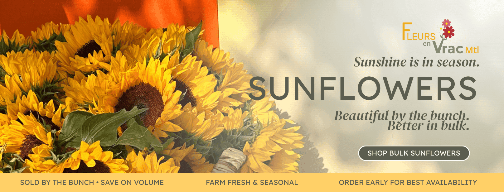 Bulk sunflowers available by the bunch for weddings, events and DIY arrangements