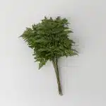 Leather Fern Large (Bulk DIY)