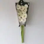 Gerbera Balance (Bulk DIY)