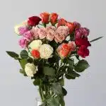 Spray Roses Assorted (Bulk DIY)