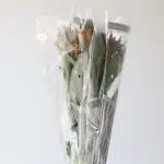 Alstroemeria Jaffa Orange Perfection (Bulk DIY)