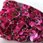 Alstroemeria Napoli mauve perfection - en vrac