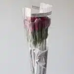 Alstroemeria Napoli mauve perfection - en vrac