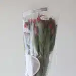 Alstroemeria Nora Hot Pink Perfection (Bulk DIY)