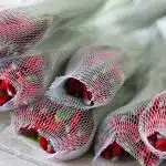 Alstroemeria Romance Red Perfection (Bulk DIY)