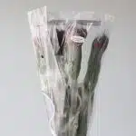 Alstroemeria Romance Red Perfection (Bulk DIY)