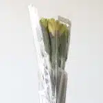 Alstroemeria Sunny Lady Yellow (Bulk DIY)