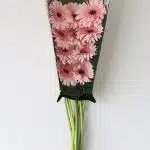 Gerbera Cameron Pink (Bulk DIY)