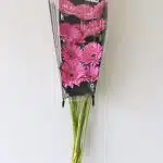 Gerberas Dreamer - en vrac