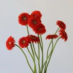 Gerpoms Fozzie (Bulk DIY)