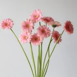 Mini Gerbera Juna (Bulk DIY)