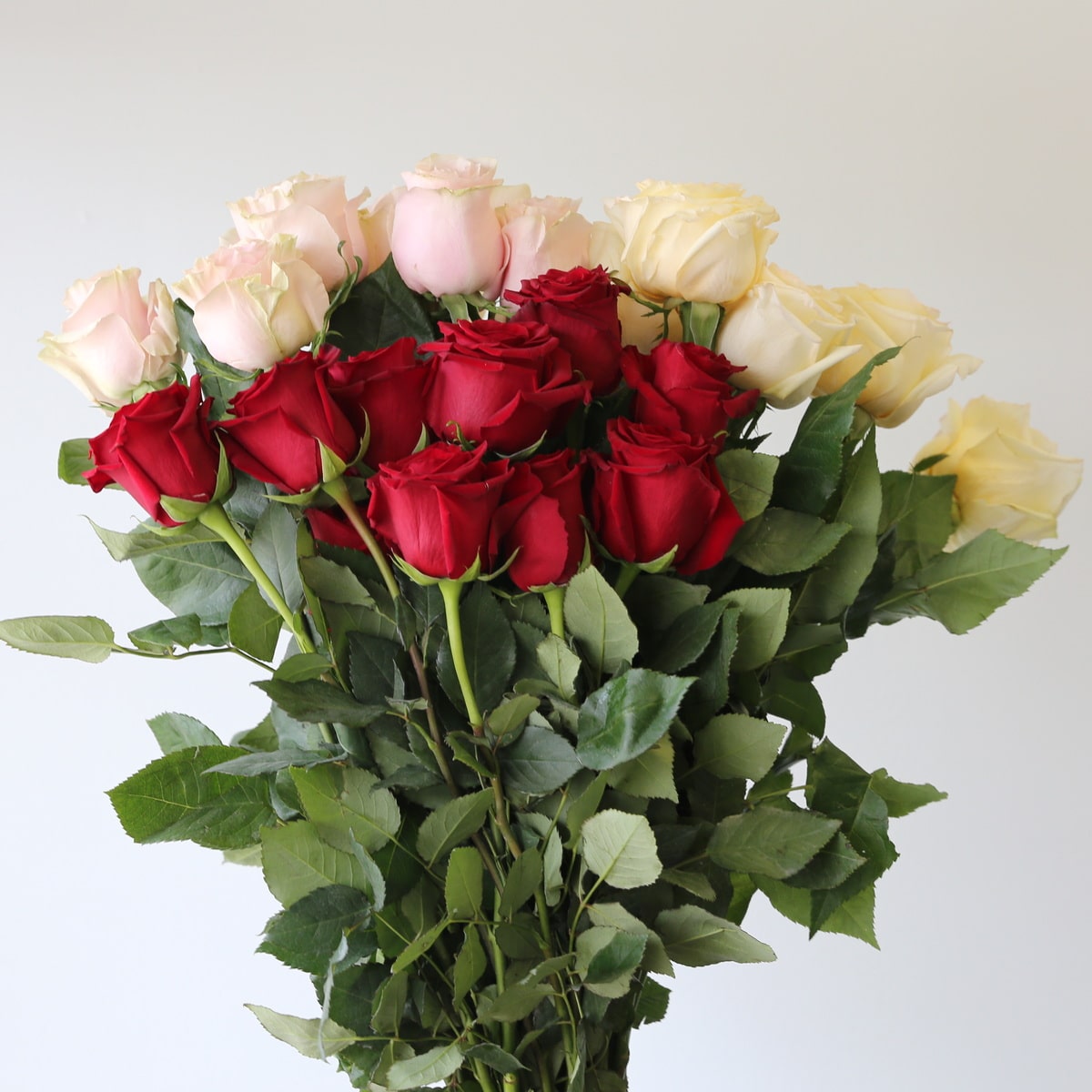 assorted roses 40cm