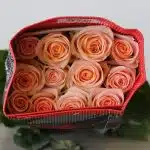 Rose Tiffany 50cm (Bulk DIY)