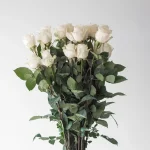 White Rose Vendela 60 cm (Bulk DIY)