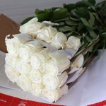 Rose Playa Bianca 50cm - en vrac