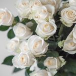 Rose Vendela Blancs 50cm - en vrac