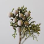 Silver Brunia (Bulk DIY)