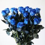 Blue Roses (Bulk DIY)