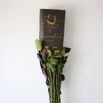 Rainbow Roses (Bulk DIY)