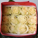 Mondial Roses 70cm (Bulk DIY)