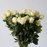 Mondial Roses 70cm (Bulk DIY)