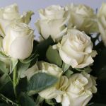 Mondial Roses 70cm (Bulk DIY)