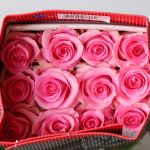 Roses Assorted Colors 40cm (Bulk DIY)
