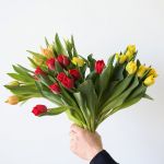 Tulipes Doubles Assorties en vrac
