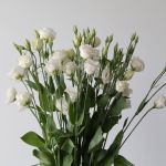Lisianthus blanc - en vrac 