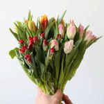 Assorted Parrot Tulips (Bulk DIY)