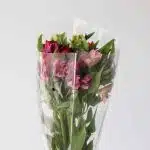 Alstroemeria Standard Assorted (Bulk DIY)