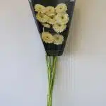 Gerpoms Amando (Bulk DIY)