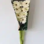 Gerbera Snow King White (Bulk DIY)