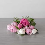 Pretty Peonies – Assorted Colour Peony Bouquet (10 stems, Arranged cut bouquet)