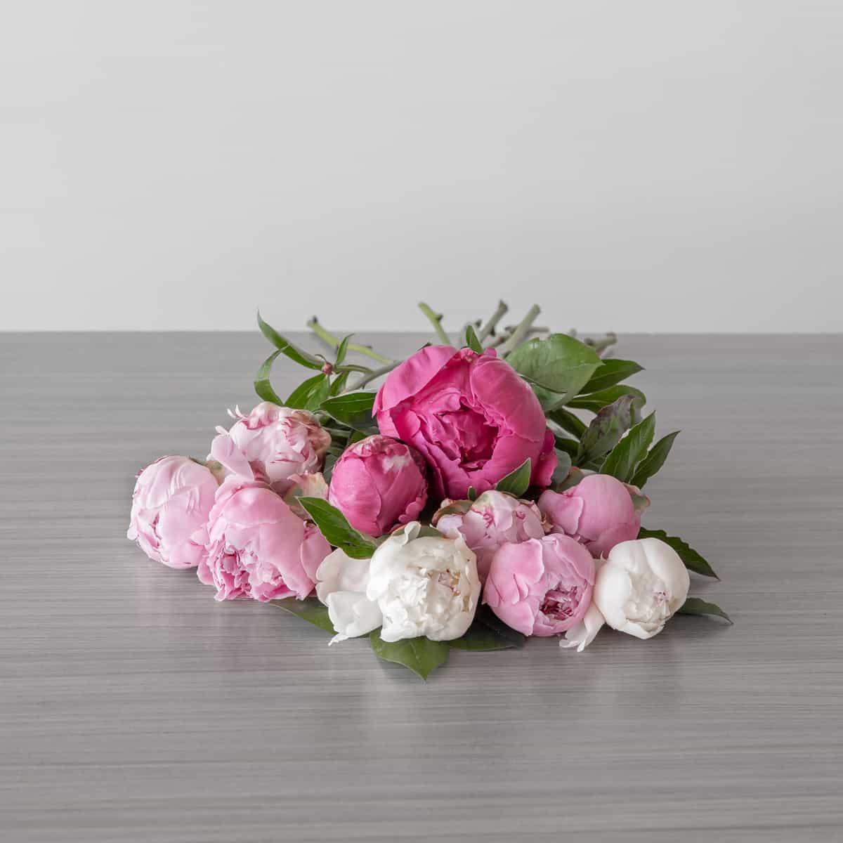 Assorted peony bouquet – 10 stems, no vase