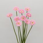 Mini Gerbera Babble (Bulk DIY)
