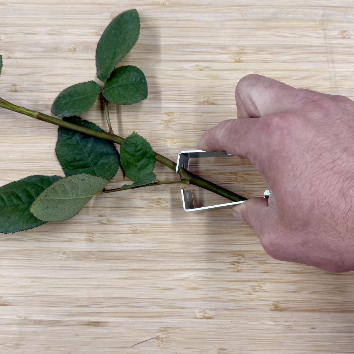 Stem Stripper & Thorn Remover Tool