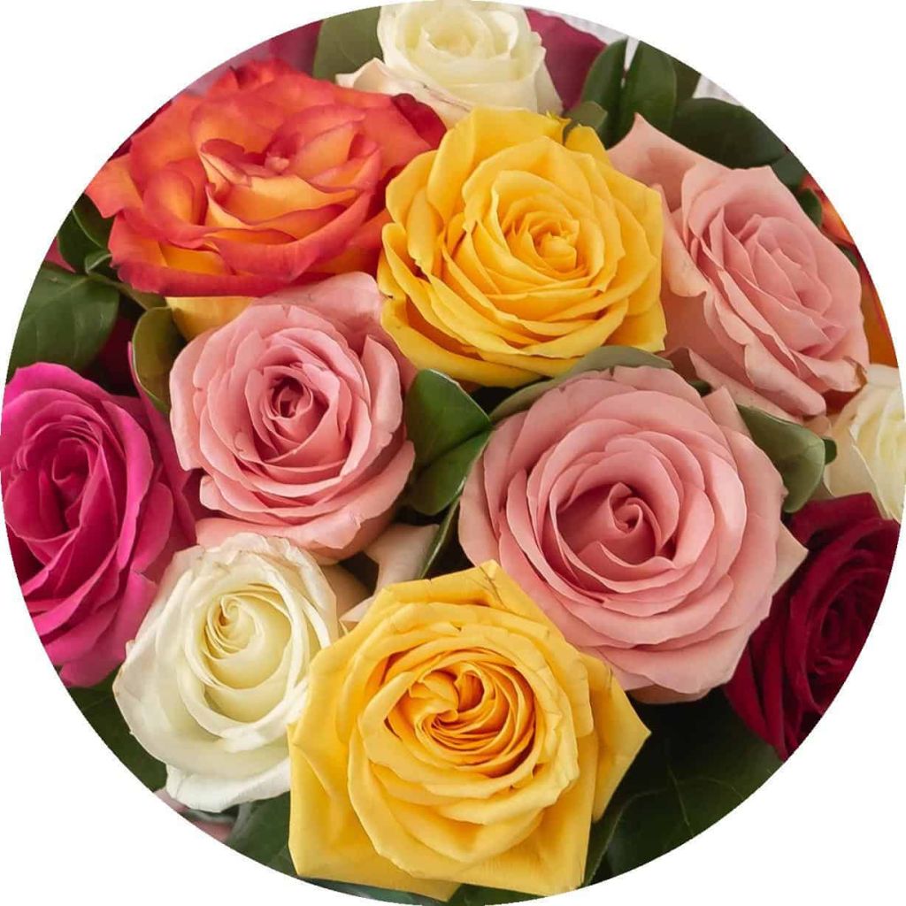 Bulk Roses Category