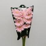 Gerbera Big Pink (Bulk DIY)