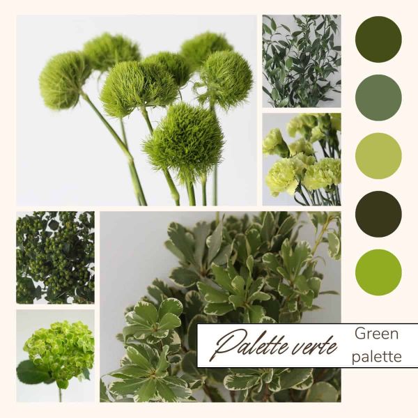 Shop Green Bulk Flowers