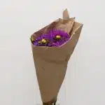 Lavender Dahlia (Bulk DIY)