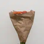 Dahlia Orange - en vrac