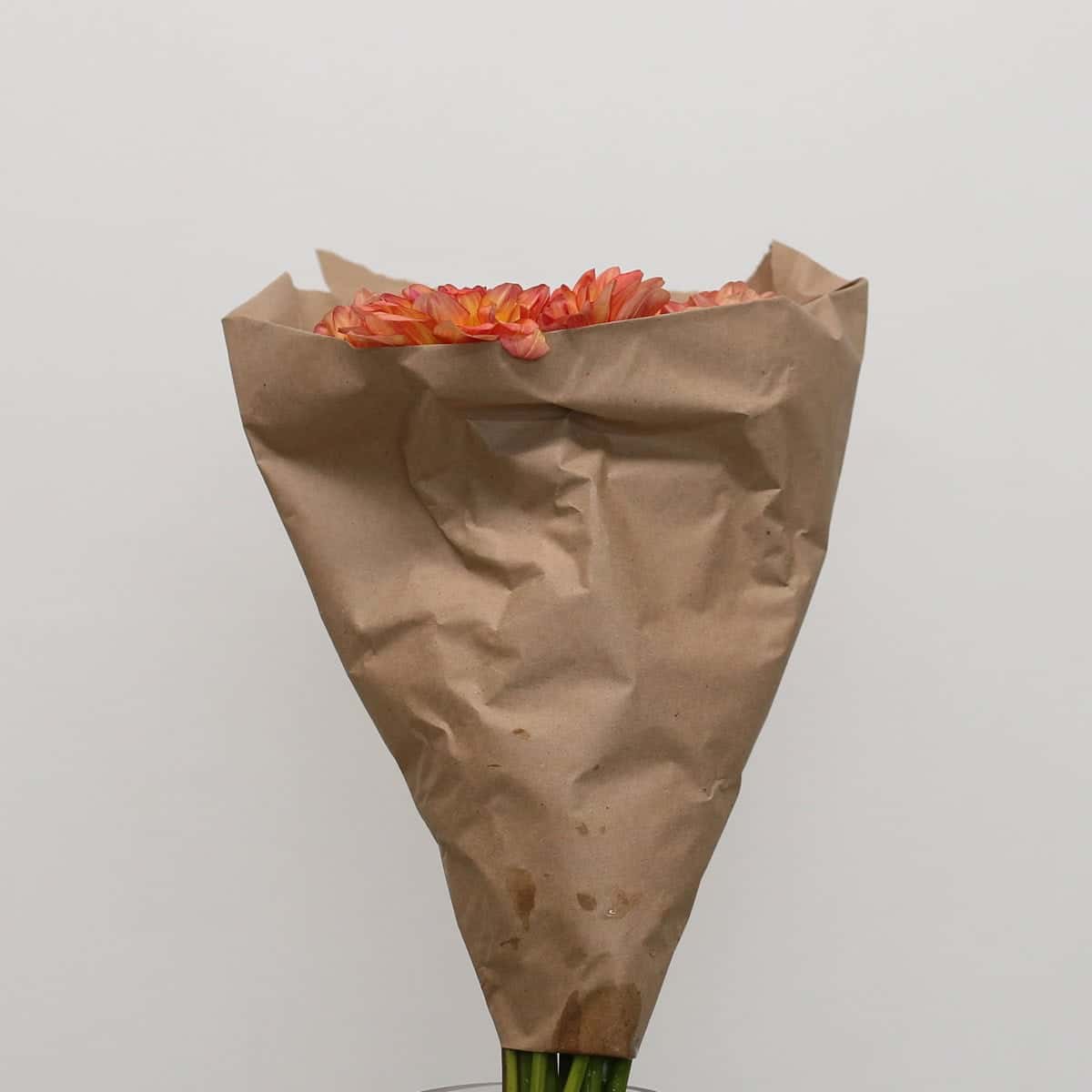 Orange Dahlia | Local Seasonal Flowers Montreal