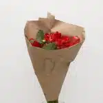 Red Dahlia (Bulk DIY)